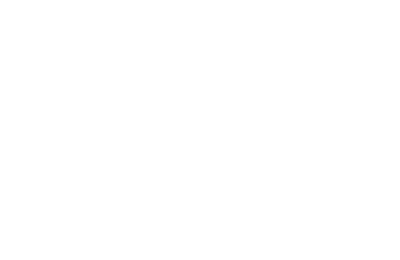Viamore